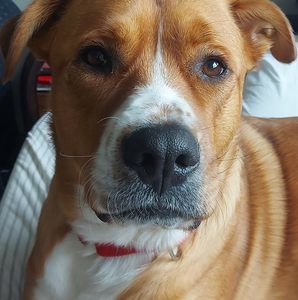 Meet your Posher, Aimee